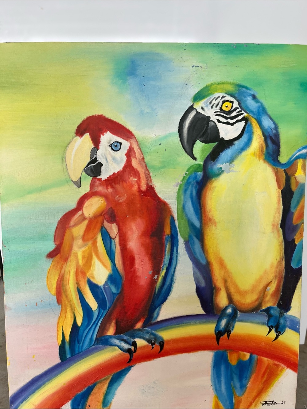 Colorful Parrot Perch Print - Bright Red & Blue Parrots